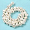Natural Cultured Freshwater Pearl Beads Strands PEAR-E017-12-3