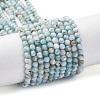 Natural Larimar Beads Strands G-F785-B01-01-2