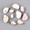 Brass & Natural Spiral Shell Pendants SHEL-Q029-13P-1