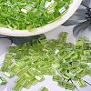 MIYUKI TILA Beads X-SEED-J020-TL258-1
