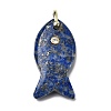 Natural Lapis Lazuli Pendants X-KK-D021-05G-G-1