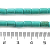 Synthetic Turquoise Beads Strands X-TURQ-G120-4x6mm-13-3