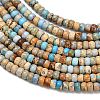 Dyed Natural Imperial Jasper Beads Strands G-P600-A01-01C-4