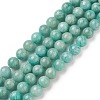 Natural Amazonite Beads Strands G-F461-12-6mm-01-1