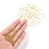 8/0 Glass Seed Beads X2-SEED-A005-3mm-22-4