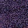 TOHO Round Seed Beads SEED-TR08-0928-2
