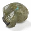 Natural Labradorite & Tiger Eye & Amethyst & Rose Quartz & Lapis Lazuli Beads G-B003-09-4
