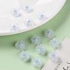 Transparent Acrylic Beads TACR-S152-06C-SS2113-6