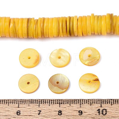 Natural Freshwater Shell Beads Strands SHEL-N037-03A-06-1