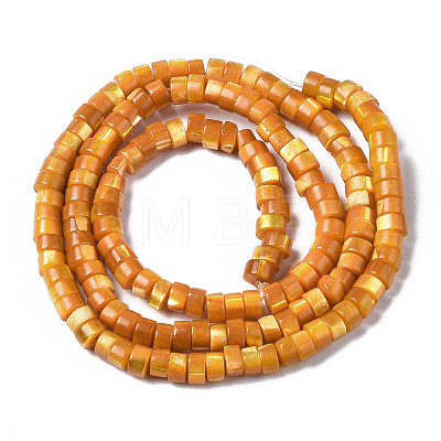 Natural Trochus Shell Beads Strands LS-SHEL-S278-027F-1