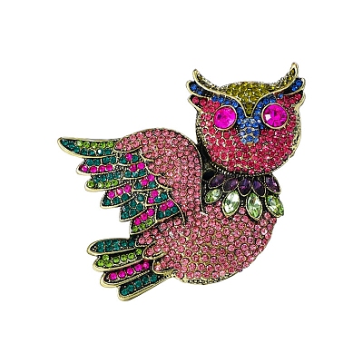 Owl Alloy Rhinestone Brooches PW-WG13AF2-01-1