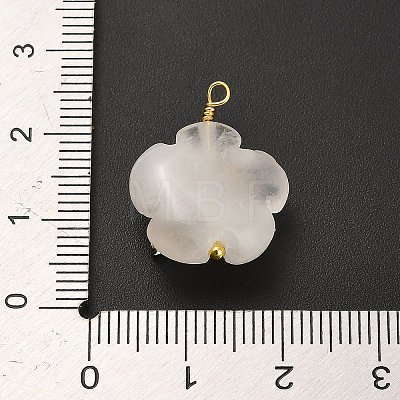 Natural Quartz Crystal Pendants G-C290-02D-1