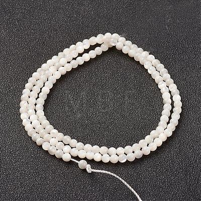 Natural White Shell Beads Strands G-G680-54-1