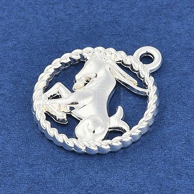 Twelve Constellations Alloy Pendants PALLOY-Q006-01C-S-1