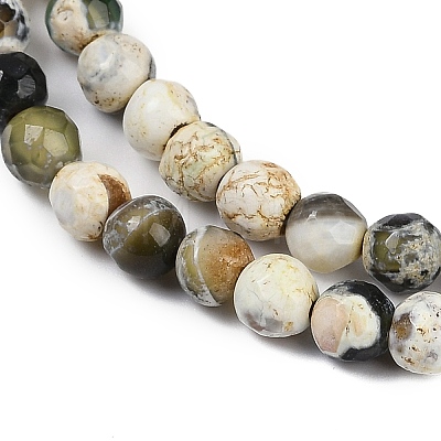 Natural Fire Crackle Agate Beads Strands G-C082-A01-49-1