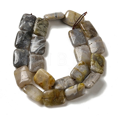 Natural Bamboo Leaf Agate Beads Strands G-NH0014-E01-01-1