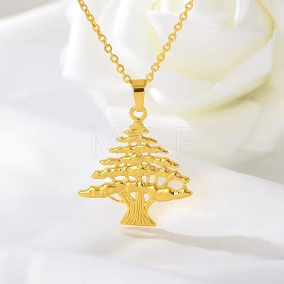 304 Stainless Steel Pendant Necklaces for Women WGAB0B0-01-1