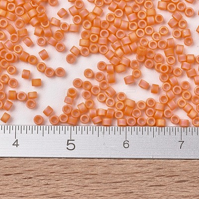 MIYUKI Delica Beads X-SEED-J020-DB1593-1
