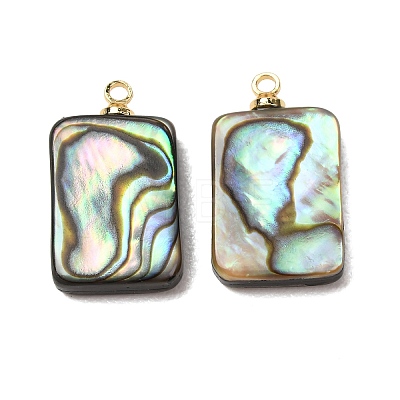 Natural Abalone Shell Pendants SH-CJC0AC7-01H-G-1