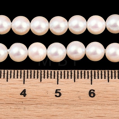 Electroplated Shell Pearl Beads Strands BSHE-C011-01A-1