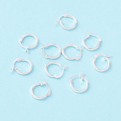 925 Sterling Silver Hoop Earrings STER-P047-13A-S-1