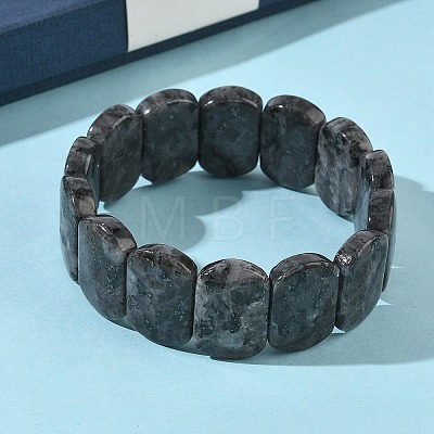 Natural Labradorite Beads Stretch Bracelets for Women Men BJEW-I323-02K-1