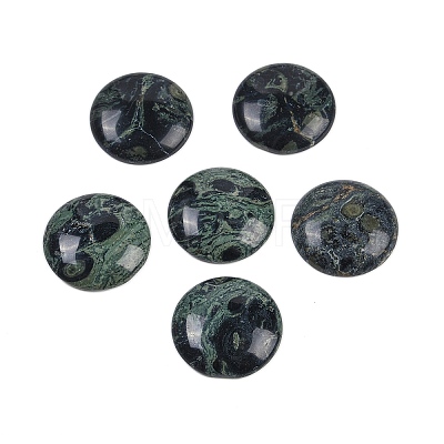 Natural Kambaba Jasper Cabochons G-H1596-FR-25mm-06-1