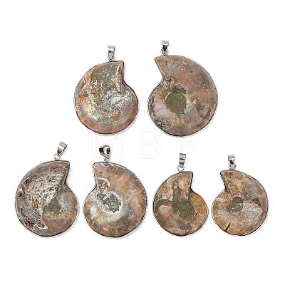 Snail Fossil Pendants G-D051-1A-1