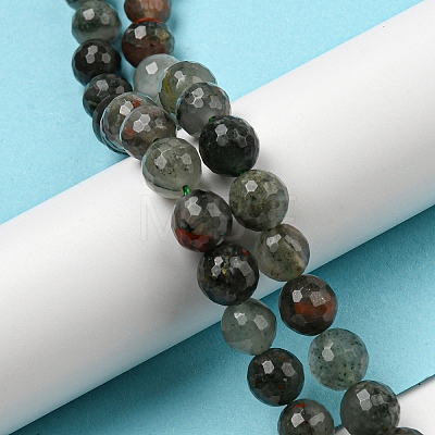 Natural Afican Bloodstone Beads Strands G-C079-B02-01-1