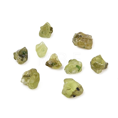 Natural Peridot Beads G-D363-A01-1