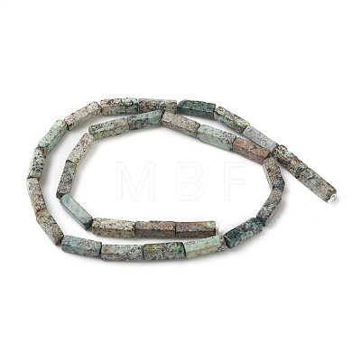 Natural African Turquoise(Jasper) Beads Strands G-G837-02-1