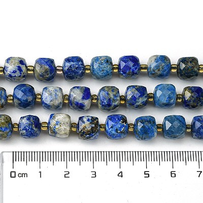 Natural Lapis Lazuli Beads Strands G-Q010-A03-01-1