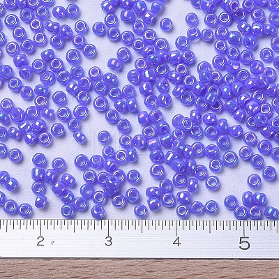 MIYUKI Round Rocailles Beads X-SEED-G007-RR0483-1