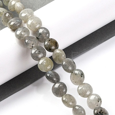 Natural Labradorite Beads Strands G-T047-A18-01-1