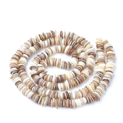 Natural Shell Beads Strands X-SSHEL-Q298-13-1