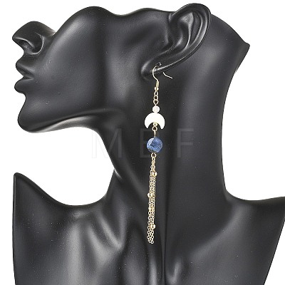 Natural Gemstone Dangle Earrings EJEW-JE06813-1