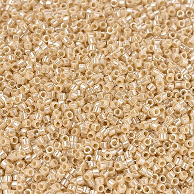 MIYUKI Delica Beads SEED-J020-DB1561-1