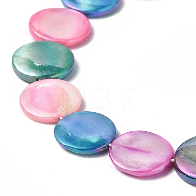 Natural Freshwater Shell Beads Strands SHEL-C003-02-1