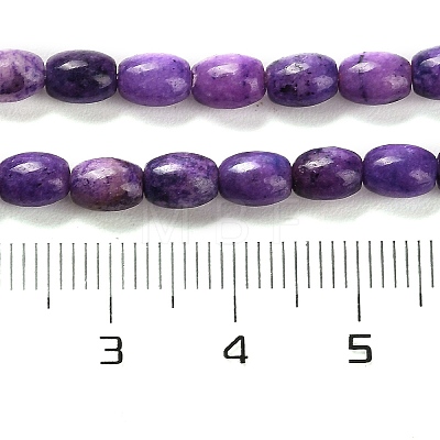 Natural Dolomite Beads Strands G-F765-A04-01-1