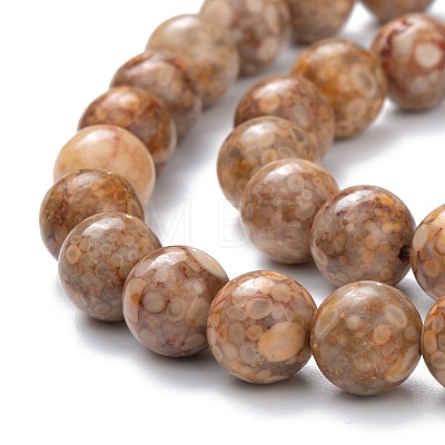 Natural Maifanite/Maifan Stone Beads Strands G-P451-01A-C-1