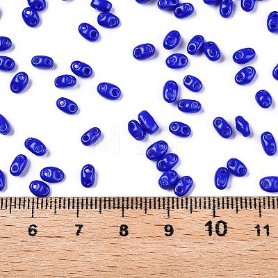 Baking Paint Glass Seed Beads SEED-T006-03-01-1