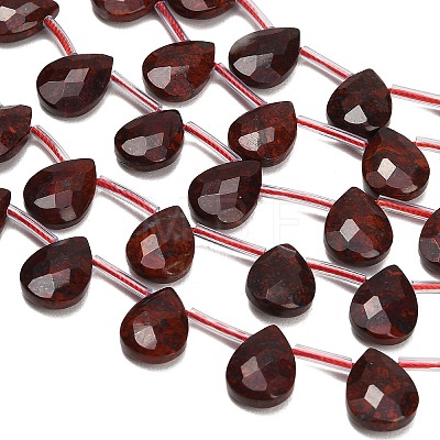Natural Brecciated Jasper Beads Strands G-K382-C10-01-1