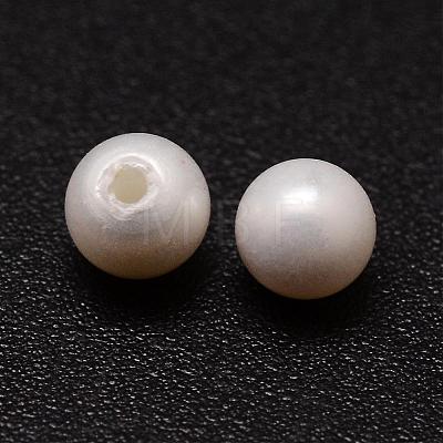 Shell Pearl Beads BSHE-L031-01-5mm-1