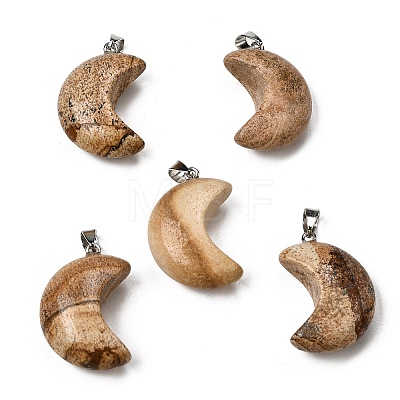 Natural Picture Jasper Pendants G-F820-02F-1
