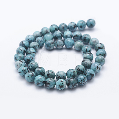 Natural Larvikite Beads Strands G-E443-A02-1