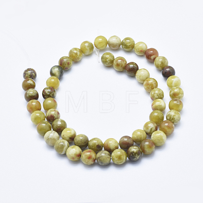 Natural Serpentine Jade Beads Strands G-P353-06-8mm-1
