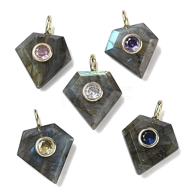 Natural Labradorite Faceted Pendants G-F819-03G-06-1