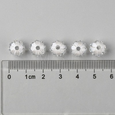 Transparent Acrylic Beads TACR-S089-10mm-01-1