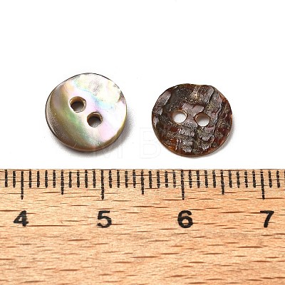 Abalone Shell/Paua Shell LS-BSHE-I011-04D-1