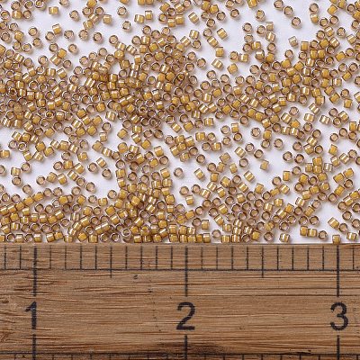 MIYUKI Delica Beads SEED-X0054-DB2043-1